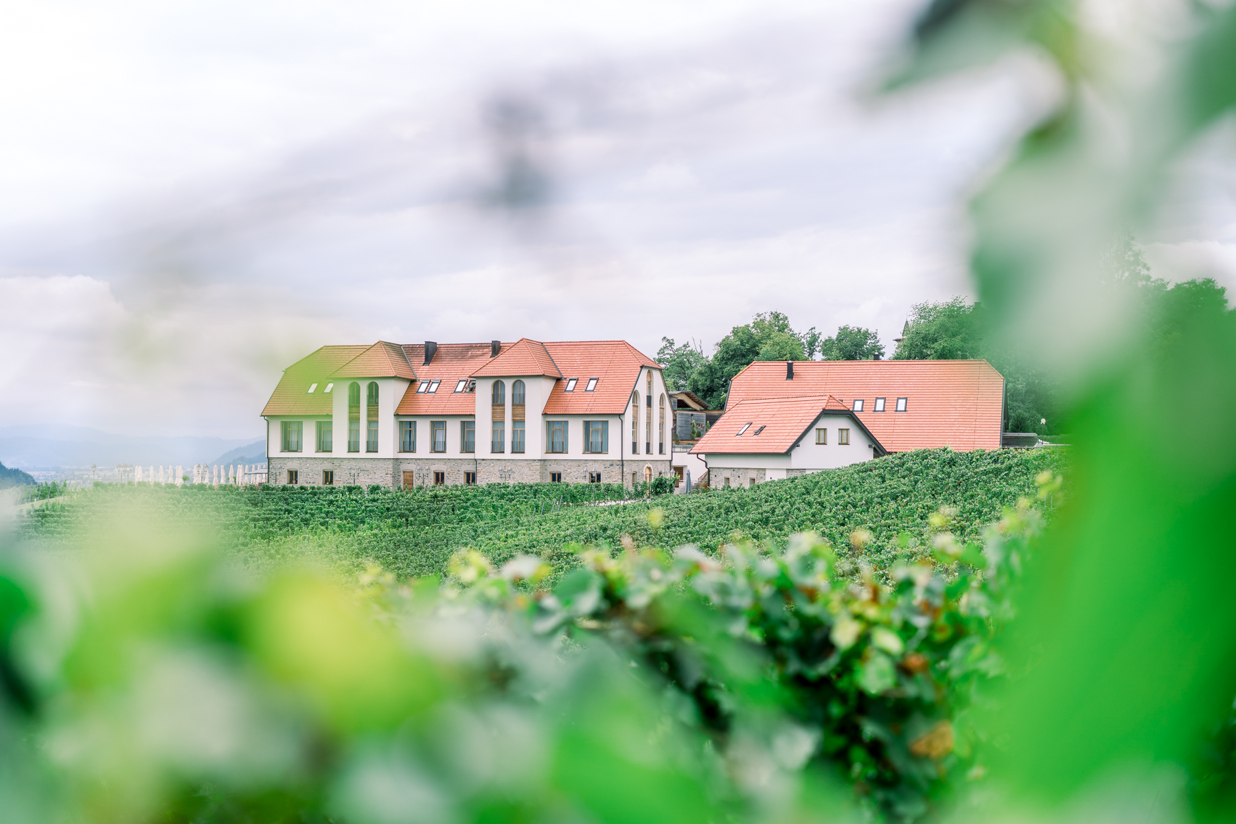 Taggenbrunn, Weingut, St. Veit, Hochzeit, Hochzeitsfotos, Hochzeitsfotograf, Paarfotos, Roman Huditsch, Klagenfurt, Kärnten, Wörthersee, Hochzeitsbilder, Wedding, Wedding Photographer, Trauung, Fotograf, Tafel, Hochzeitslocation
