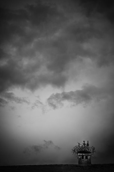 Hochzeitsfotograf, Kärnten, Roman Huditsch, Wörthersee, Klagenfurt, Fotograf, Paarfotos, Traumhochzeit, Emotionen, Hochzeit, Hochzeitsfotos Hochzeitsfotograf, Kärnten, Roman Huditsch, Wörthersee, Klagenfurt, Fotograf, Paarfotos, Traumhochzeit, Emotionen, Hochzeit, Hochzeitsfotos