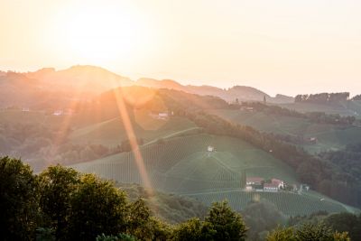 Hochzeitsfotograf, Roman Huditsch Fotografie, Hochzeitsfotos, Hochzeit, Südsteiermark, Steiermark, Jaglhof, Weinstraße, Gamlitz Hochzeitsfotograf, Roman Huditsch Fotografie, Hochzeitsfotos, Hochzeit, Südsteiermark, Steiermark, Jaglhof, Weinstraße, Gamlitz