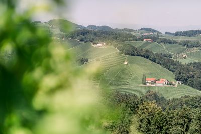 Hochzeitsfotograf, Roman Huditsch Fotografie, Hochzeitsfotos, Hochzeit, Südsteiermark, Steiermark, Jaglhof, Weinstraße, Gamlitz Hochzeitsfotograf, Roman Huditsch Fotografie, Hochzeitsfotos, Hochzeit, Südsteiermark, Steiermark, Jaglhof, Weinstraße, Gamlitz