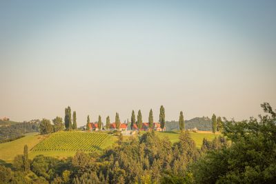 Hochzeitsfotograf, Roman Huditsch Fotografie, Hochzeitsfotos, Hochzeit, Südsteiermark, Steiermark, Jaglhof, Weinstraße, Gamlitz Hochzeitsfotograf, Roman Huditsch Fotografie, Hochzeitsfotos, Hochzeit, Südsteiermark, Steiermark, Jaglhof, Weinstraße, Gamlitz