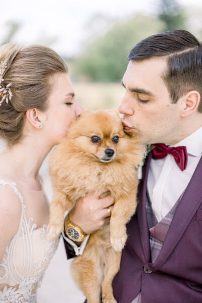 Hochzeit, Hochzeitsfotos, Hochzeitsfotograf, Paarfotos, Roman Huditsch, Klagenfurt, Kärnten, Wörthersee, Hochzeitsbilder, Wedding, Wedding Photographer, Trauung, Fotograf, Velden, Schloss Falkensteiner Hochzeit, Hochzeitsfotos, Hochzeitsfotograf, Paarfotos, Roman Huditsch, Klagenfurt, Kärnten, Wörthersee, Hochzeitsbilder, Wedding, Wedding Photographer, Trauung, Fotograf, Velden, Schloss Falkensteiner