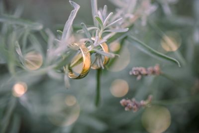Maria Rojach, Kulturstadl, St. Paul, Lavanttal, Stift St. Paul, Wolfsberg, Hochzeit, Hochzeitsfotos, Hochzeitsfotograf, Paarfotos, Roman Huditsch, Klagenfurt, Kärnten, Wörthersee, Hochzeitsbilder, Wedding, Wedding Photographer, Trauung, Fotograf Maria Rojach, Kulturstadl, St. Paul, Lavanttal, Stift St. Paul, Wolfsberg, Hochzeit, Hochzeitsfotos, Hochzeitsfotograf, Paarfotos, Roman Huditsch, Klagenfurt, Kärnten, Wörthersee, Hochzeitsbilder, Wedding, Wedding Photographer, Trauung, Fotograf