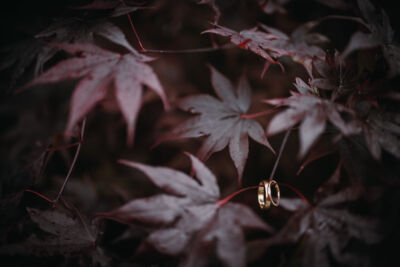 Suetschach, Feistritz, Rosental, Regenhochzeit, Begegnungszentrum Einspieler, Hochzeit, Hochzeitsfotos, Hochzeitsfotograf, Paarfotos, Roman Huditsch, Klagenfurt, Kärnten, Wörthersee, Hochzeitsbilder, Wedding, Wedding Photographer, Trauung, Fotograf, Eheringe Suetschach, Feistritz, Rosental, Regenhochzeit, Begegnungszentrum Einspieler, Hochzeit, Hochzeitsfotos, Hochzeitsfotograf, Paarfotos, Roman Huditsch, Klagenfurt, Kärnten, Wörthersee, Hochzeitsbilder, Wedding, Wedding Photographer, Trauung, Fotograf, Eheringe