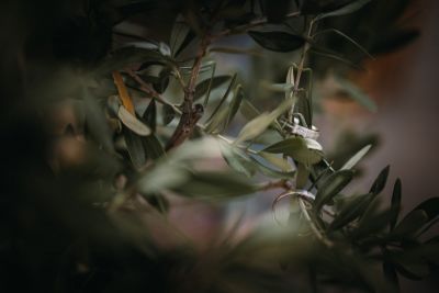 Burgenland, Himmelblau, Vintage Haus, Rust, Hochzeit, Hochzeitsfotos, Hochzeitsfotograf, Paarfotos, Roman Huditsch, Klagenfurt, Kärnten, Wörthersee, Hochzeitsbilder, Wedding, Wedding Photographer, Trauung, Fotograf, Hochzeitsringe Burgenland, Himmelblau, Vintage Haus, Rust, Hochzeit, Hochzeitsfotos, Hochzeitsfotograf, Paarfotos, Roman Huditsch, Klagenfurt, Kärnten, Wörthersee, Hochzeitsbilder, Wedding, Wedding Photographer, Trauung, Fotograf, Hochzeitsringe