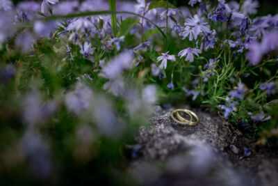 Villa Bergzauber, Oberösterreich, Hochzeit, Hochzeitsfotograf, Roman Huditsch Fotografie, Kärnten, Wörthersee, Klagenfurt, Hochzeitsfotos, Hochzeitslocation, Berghochzeit, Eheringe Villa Bergzauber, Oberösterreich, Hochzeit, Hochzeitsfotograf, Roman Huditsch Fotografie, Kärnten, Wörthersee, Klagenfurt, Hochzeitsfotos, Hochzeitslocation, Berghochzeit, Eheringe