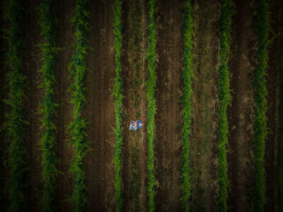 Hochzeitsfotos, Hochzeitsfotograf, Hochzeit, Fotograf, Kärnten, Wörthersee, Burgenland, Rust, Roman Huditsch Fotografie, Hochzeitsreportage, Neusiedler See, Vintage, Boho, Himmelblau, Paarshooting, Brautpaar, Brautpaarshooting, Gewitter, Regen, Regenhochzeit, Weingarten, Drohne Drohnenaufnahme Hochzeitsfotos, Hochzeitsfotograf, Hochzeit, Fotograf, Kärnten, Wörthersee, Burgenland, Rust, Roman Huditsch Fotografie, Hochzeitsreportage, Neusiedler See, Vintage, Boho, Himmelblau, Paarshooting, Brautpaar, Brautpaarshooting, Gewitter, Regen, Regenhochzeit, Weingarten, Drohne Drohnenaufnahme