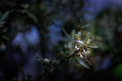 Hochzeitsfotos, Hochzeitsfotograf, Hochzeit, Fotograf, Kärnten, Wörthersee, Burgenland, Rust, Roman Huditsch Fotografie, Hochzeitsreportage, Neusiedler See, Vintage, Boho, Himmelblau, Paarshooting, Brautpaar, Brautpaarshooting, Gewitter, Regen, Regenhochzeit, Eheringe Hochzeitsfotos, Hochzeitsfotograf, Hochzeit, Fotograf, Kärnten, Wörthersee, Burgenland, Rust, Roman Huditsch Fotografie, Hochzeitsreportage, Neusiedler See, Vintage, Boho, Himmelblau, Paarshooting, Brautpaar, Brautpaarshooting, Gewitter, Regen, Regenhochzeit, Eheringe
