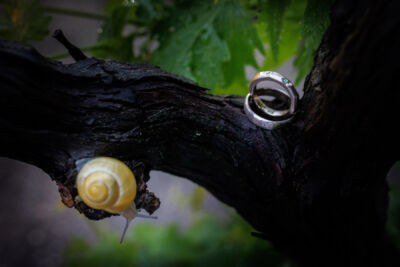 Hochzeitsfotos, Hochzeitsfotograf, Hochzeit, Fotograf, Kärnten, Wörthersee, Burgenland, Rust, Roman Huditsch Fotografie, Hochzeitsreportage, Neusiedler See, Vintage, Boho, Himmelblau, Paarshooting, Brautpaar, Brautpaarshooting, Gewitter, Regen, Regenhochzeit, Eheringe Hochzeitsfotos, Hochzeitsfotograf, Hochzeit, Fotograf, Kärnten, Wörthersee, Burgenland, Rust, Roman Huditsch Fotografie, Hochzeitsreportage, Neusiedler See, Vintage, Boho, Himmelblau, Paarshooting, Brautpaar, Brautpaarshooting, Gewitter, Regen, Regenhochzeit, Eheringe