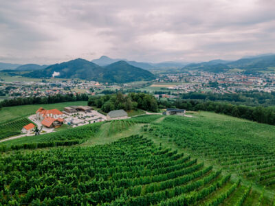 Taggenbrunn, Weingut, St. Veit, Hochzeit, Hochzeitsfotos, Hochzeitsfotograf, Paarfotos, Roman Huditsch, Klagenfurt, Kärnten, Wörthersee, Hochzeitsbilder, Wedding, Wedding Photographer, Trauung, Fotograf, Tafel, Hochzeitslocation Taggenbrunn, Weingut, St. Veit, Hochzeit, Hochzeitsfotos, Hochzeitsfotograf, Paarfotos, Roman Huditsch, Klagenfurt, Kärnten, Wörthersee, Hochzeitsbilder, Wedding, Wedding Photographer, Trauung, Fotograf, Tafel, Hochzeitslocation