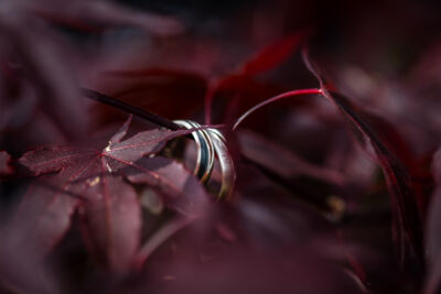 Hochzeitsfotos, Hochzeitsfotograf, Hochzeit, Fotograf, Kärnten, Wörthersee, Villach, Roman Huditsch Fotografie, Hochzeitsreportage, Vintage, Boho, Eheringe, Detailfotos, Hochzeitsdetails Hochzeitsfotos, Hochzeitsfotograf, Hochzeit, Fotograf, Kärnten, Wörthersee, Villach, Roman Huditsch Fotografie, Hochzeitsreportage, Vintage, Boho, Eheringe, Detailfotos, Hochzeitsdetails