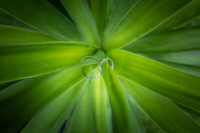 St. Margarethen, Wolfsberg, Reiterhof Stückler, Hochzeitsfotos, Hochzeitsfotograf, Hochzeit, Fotograf, Kärnten, Wörthersee, Roman Huditsch Fotografie, Hochzeitsreportage, Vintage, Boho, Reportage, Fotoreportage, Hochzeitsringe, Eheringe St. Margarethen, Wolfsberg, Reiterhof Stückler, Hochzeitsfotos, Hochzeitsfotograf, Hochzeit, Fotograf, Kärnten, Wörthersee, Roman Huditsch Fotografie, Hochzeitsreportage, Vintage, Boho, Reportage, Fotoreportage, Hochzeitsringe, Eheringe