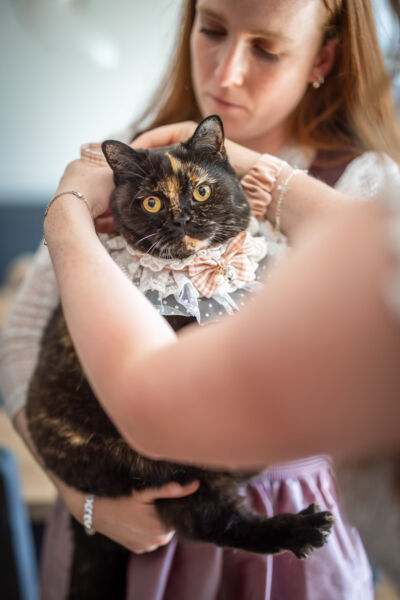 Hochzeitsfotos, Hochzeitsfotograf, Hochzeit, Fotograf, Kärnten, Wörthersee, Reiterhof Stückler, Wolfsberg, St. Margarethen, Roman Huditsch Fotografie, Hochzeitsreportage, Vintage, Boho, Reportage, Fotoreportage, Getting Ready Hochzeitsfotos, Hochzeitsfotograf, Hochzeit, Fotograf, Kärnten, Wörthersee, Reiterhof Stückler, Wolfsberg, St. Margarethen, Roman Huditsch Fotografie, Hochzeitsreportage, Vintage, Boho, Reportage, Fotoreportage, Getting Ready