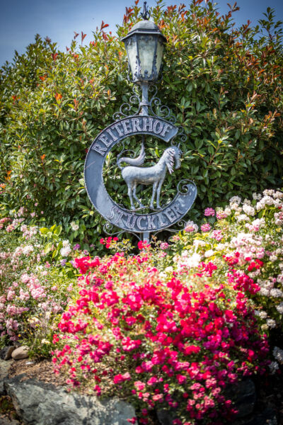 Hochzeitsfotos, Hochzeitsfotograf, Hochzeit, Fotograf, Kärnten, Wörthersee, Reiterhof Stückler, Wolfsberg, St. Margarethen, Roman Huditsch Fotografie, Hochzeitsreportage, Vintage, Boho, Reportage, Fotoreportage Hochzeitsfotos, Hochzeitsfotograf, Hochzeit, Fotograf, Kärnten, Wörthersee, Reiterhof Stückler, Wolfsberg, St. Margarethen, Roman Huditsch Fotografie, Hochzeitsreportage, Vintage, Boho, Reportage, Fotoreportage
