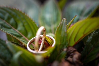 Inselhotel, Faaker See, Faak am See, Faakersee, Hochzeitsfotografie, Hochzeitsfotos, Hochzeitsfotograf, Hochzeit, Fotograf, Kärnten, Wörthersee, Roman Huditsch Fotografie, Hochzeitsreportage Inselhotel, Faaker See, Faak am See, Faakersee, Hochzeitsfotografie, Hochzeitsfotos, Hochzeitsfotograf, Hochzeit, Fotograf, Kärnten, Wörthersee, Roman Huditsch Fotografie, Hochzeitsreportage